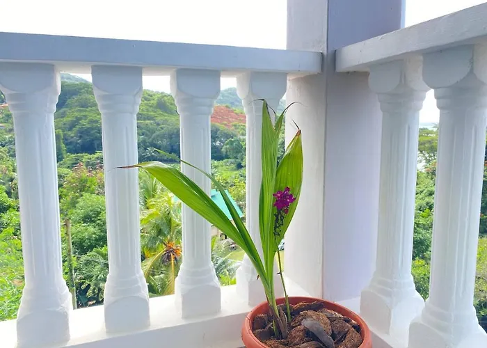 Hotel apartamentowy Le Ronce 4*